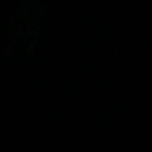 Meet your Posher, Sandy